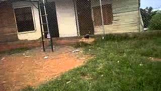 VID 00021 20131024 1530
