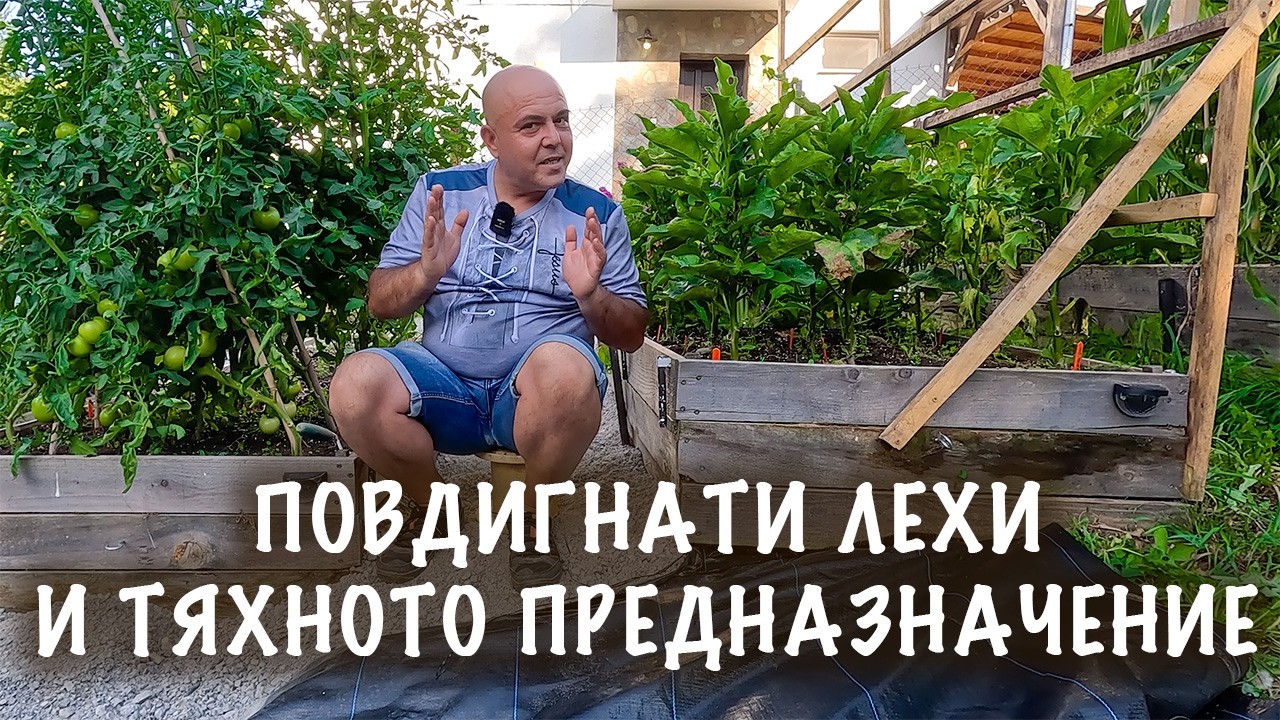 ПОВДИГНАТИ ЛЕХИ! Всичко, което трябва да знаем за тях!