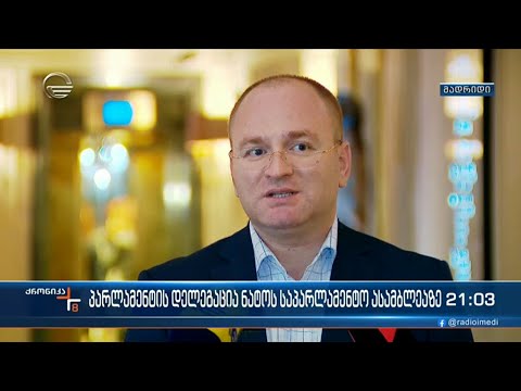 მადრიდში ნატოს საპარლამენტო ასამბელის 68-ე სესია იმართება