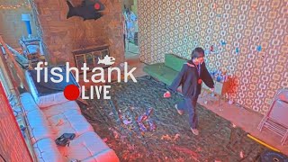 Josie falls down the stairs and laughs it off || Fishtank Day 29