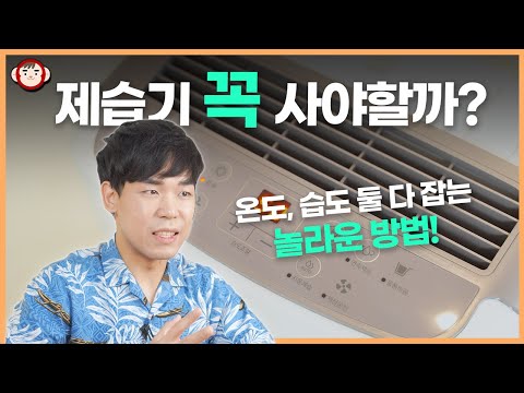 여름 장마철 필수 시청! 제습기 없이 습도잡는 방법