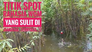 Di spot ini ternyata ikan nya ngumpull ...ikan makan cantik ... lokasi lumayan jauh dr motor ..