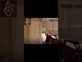 I Really Like The M4A1-S