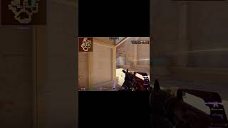I Really Like The M4A1-S