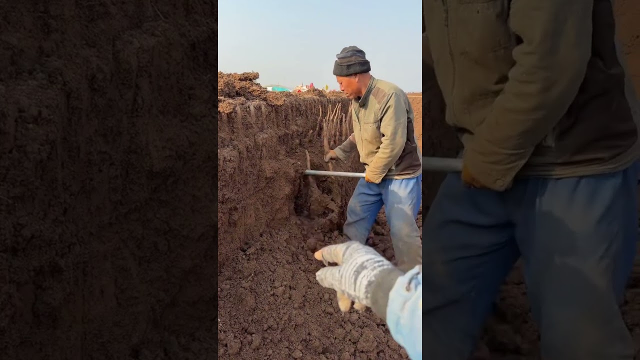 Is there any greater happiness than this, my dear