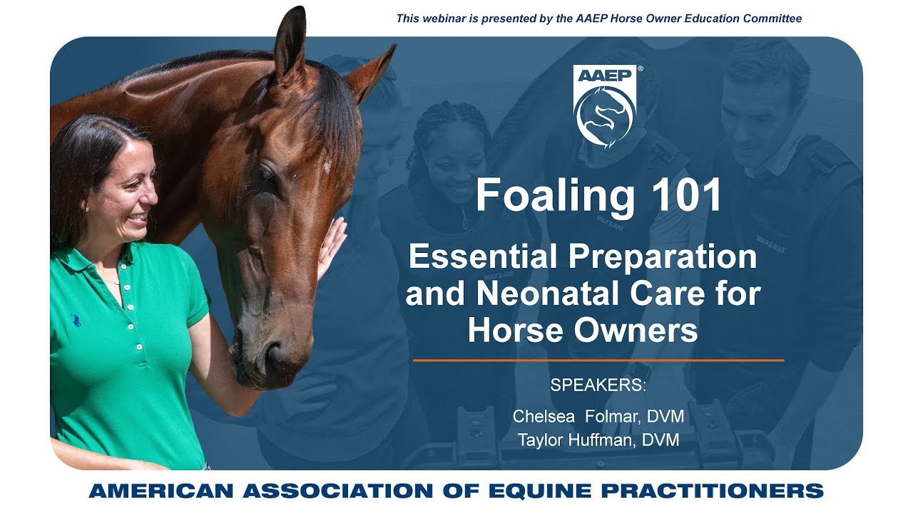 AAEP Presents: Foaling 101: Essential Preparation and Neonatal Care for Horse Owners