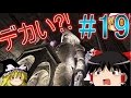 バイオハザード4 HD ゆっくり実況プレイ part19