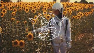 VMZ - Plutao (Piero Da Vinci & Fr4nk Cr4nk Remix)