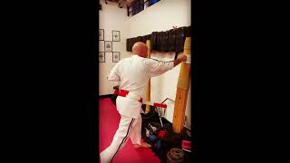 Shorinjiryu Kenkokan Karatedo - Makiwara Conditioning