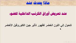 تأثير الضوء علي عمل الجين