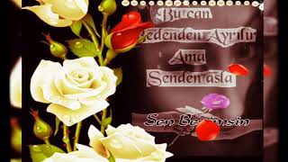 Ellere Gitsende Elindeğilsin ..Tudaniya Resimi