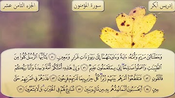 سورة المؤمنون _ القارئ إدريس أبكر