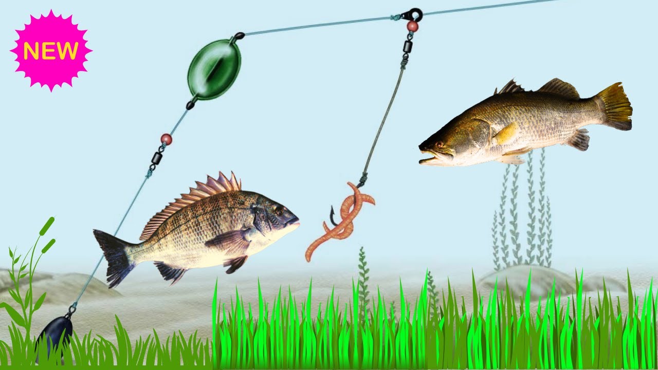 How To Tie A Bottom Fishing Rig Effective Fishing Rig YouTube