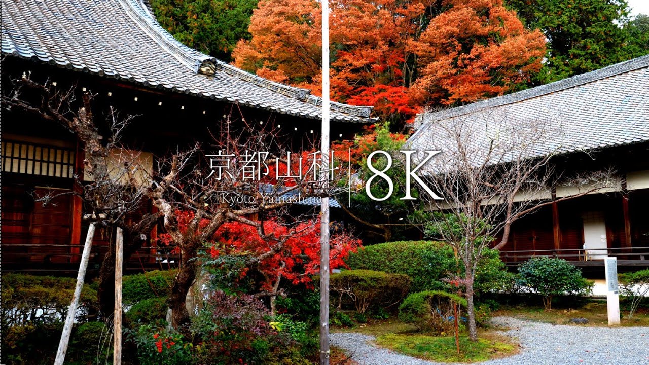 【5選】京都山科の神社仏閣を訪ねて（毘沙門堂・隨心院・勧修寺・岩屋寺）Japan in 8K