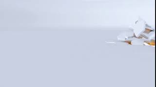 Logistics Services With Mac World Logistic