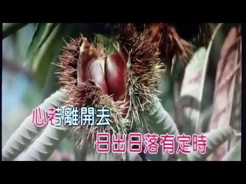 心碎伴相思 VID 20180908 145854