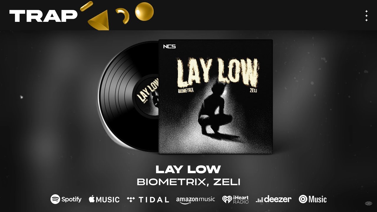 Biometrix - Lay Low (feat. Zeli)