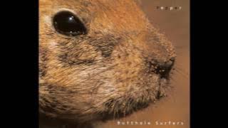 Butthole Surfers - Pepper