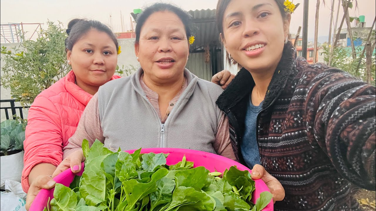 Organic Harvesing 🥬.A week in our life ☺️