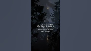 قَد أَفلَحَ مَن زَكّاها وَقَد خابَ مَن دَسّاها❤️ | سورة الشمس