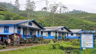 INDAH & UNIK! Kampung Rumah Biru Putih di Tengah Kebun Teh Cibuni Rancabali | Slow Living ☘️