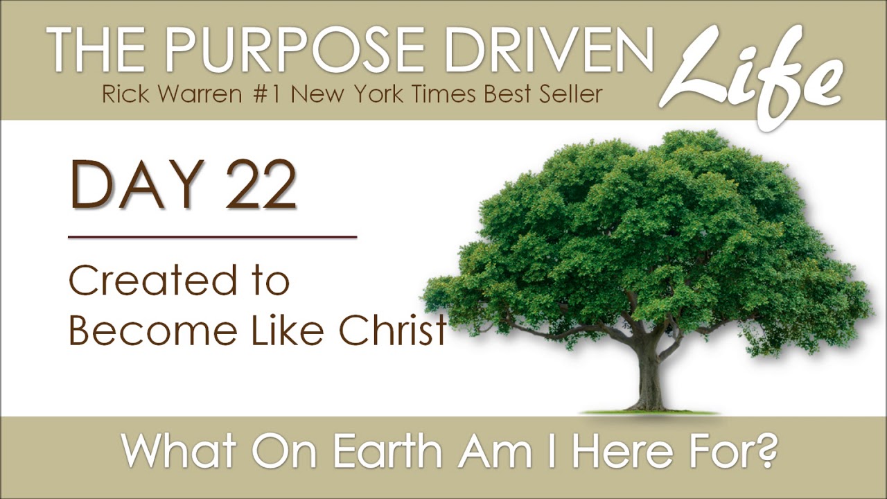 Purpose Driven Life Day 22 YouTube