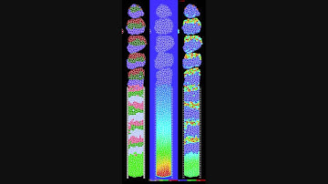 Multi-Cell,Multi-Scale Somitogenesis Model