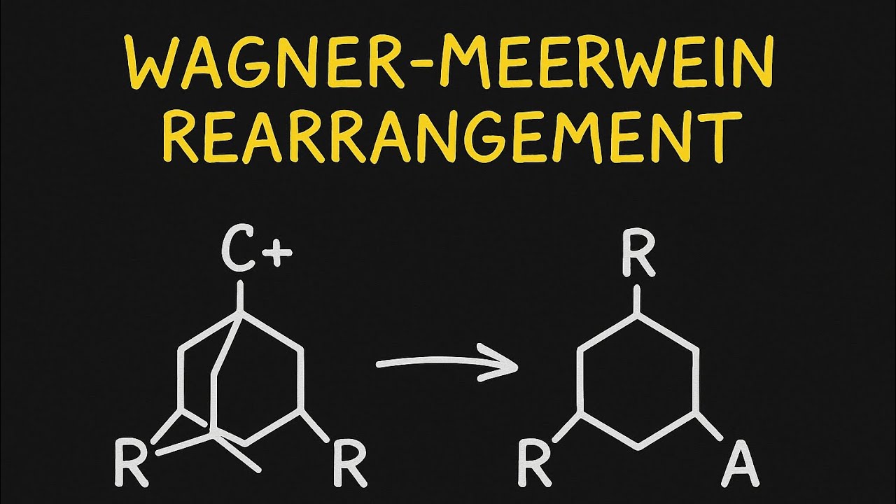 Wagner meerwein rearrangement organic chemistry||wagner meerwein reaction mechanism||Applications