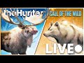 DUAL GRINDING STREAM! Let's Get Wolf #2 or the NEW MOOSE FURS!! | theHunter Call of the Wild