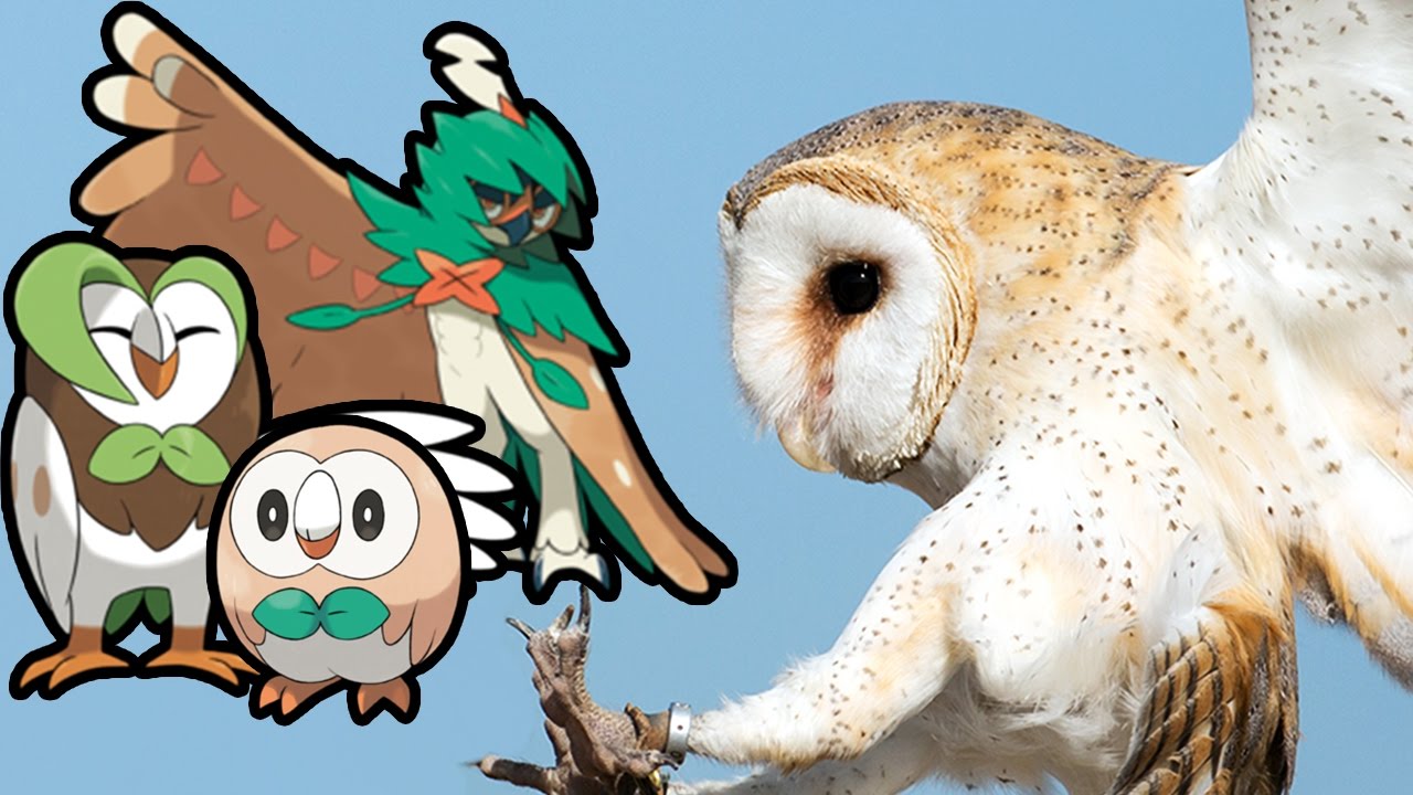 origins of rowlet dartrix and decidueye pokémon sun and moon