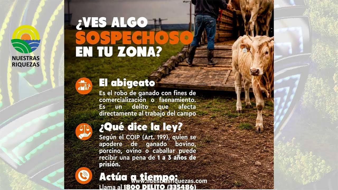 Nuestras Riquezas, primer canal agropecuario del Ecuador

🎙️ New to streaming or looking to level up? Check out StreamYard and get $10 discount! 😍 https://streamyard.com/pal/d/6050627229319168