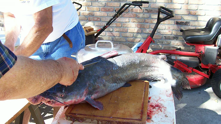 Cajun Catfish Couvillion (Coubion)...Part One