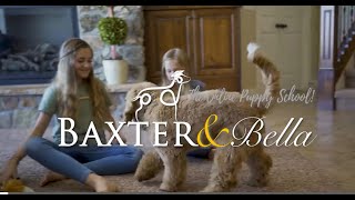 BAXTER & Bella - The Online Puppy School