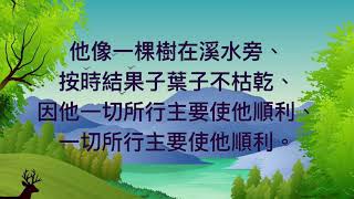 溪邊的樹 (20210228)