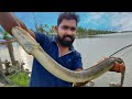 ഔഷധ ഗുണമുള്ള മീൻ പിടിച്ചു പക്ഷേ പണി കിട്ടി😱 Eel Catching Went Wrong