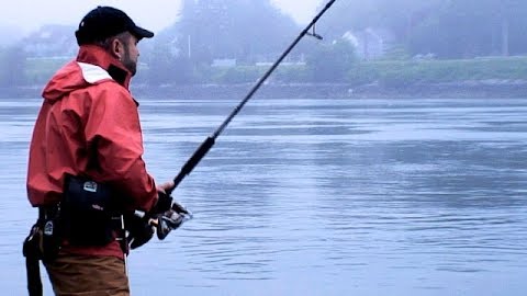 The Fish Whisperer: Cape Cod, MA