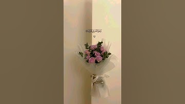 ما تيسّر من سورة النازعات|| للقارئ رعد الكردي || القرآن الكريم || 🎀💗