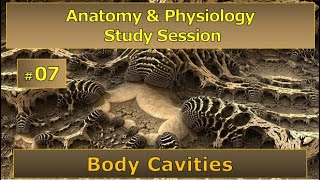 Anatomy & Physiology HELP! -- Study Session #07 -- Body Cavities