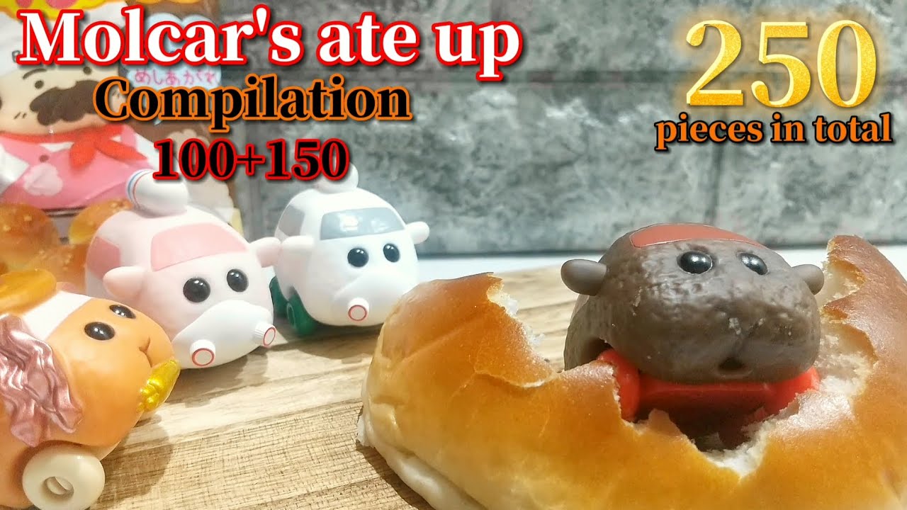 【PUI PUI Molcar】250個の食べ物を食べるモルカーたち まとめ【100食＋150食】/250snack&candy Molcar's ate up!【stopmotion】