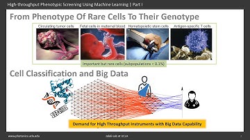 High-throughput Phenotypic Screening Using Machine Learning | Part I