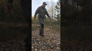 Pfifferling Jagd! II #pilzesuchen #outdoor #natur #wald