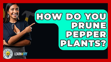 How Do You Prune Pepper Plants? - LearnToDIY360.com