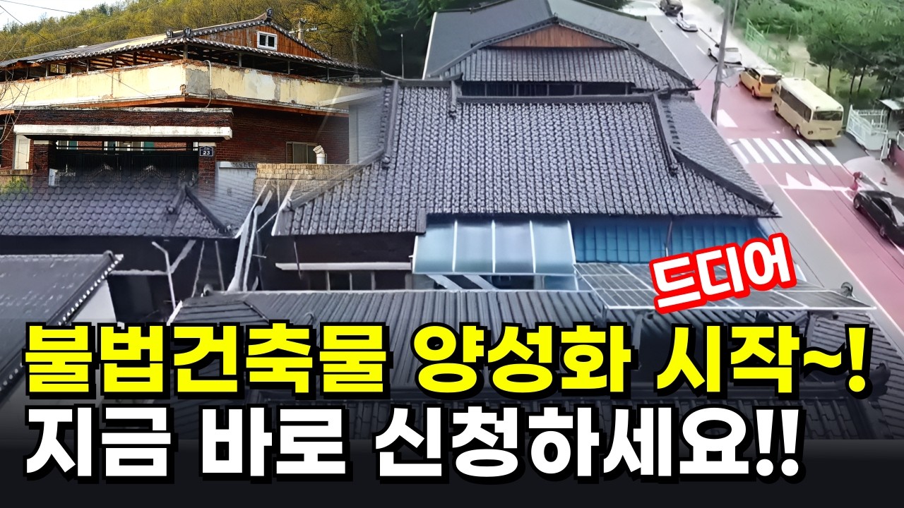 옥상 지붕 불법 건축물 