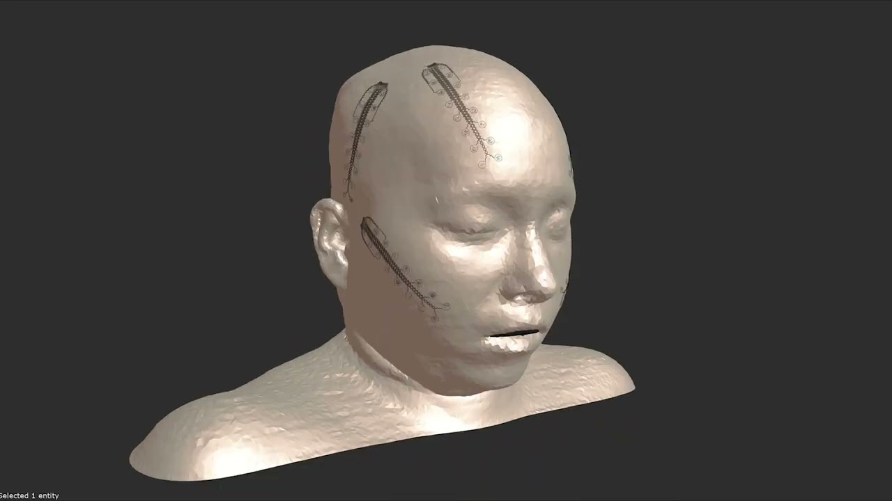 E-Tattoos: Ready to Model Safety & Efficacy