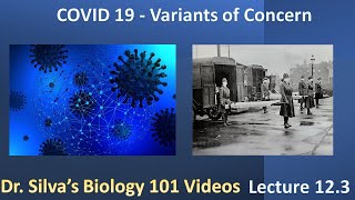 Lecture 12.3 – COVID 19 – Variants of Concern – Biol 101