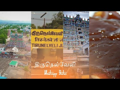 Tirunelveli WhatsApp status Tamil     