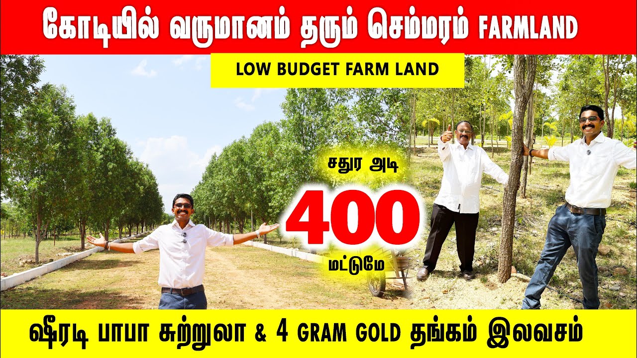 ‼️வெறும் 400 ரூபாயில் செம்மர FARMLAND சென்னையில் வாங்கலாம் lowbudget Farm land in Chennai Tiruvallur