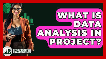 What Is Data Analysis In Project? - The Friendly Statistician