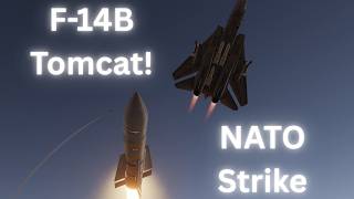 F 14B Tomcat NATO Strike! DCS