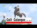 Siidaan Seenaa Calii Calanqoo Himu Maalif Abbaa Dhabe